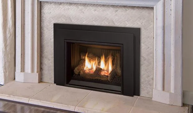 Enviro E20 Gas Fireplace Insert - The Heating Lodge