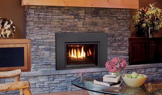 Enviro E20 Gas Fireplace Insert - The Heating Lodge