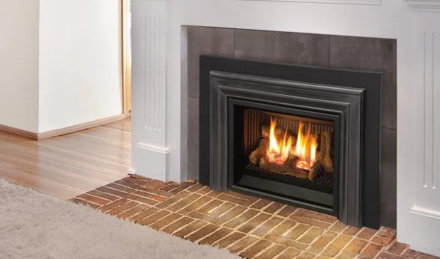 Enviro E20 Gas Fireplace Insert - The Heating Lodge