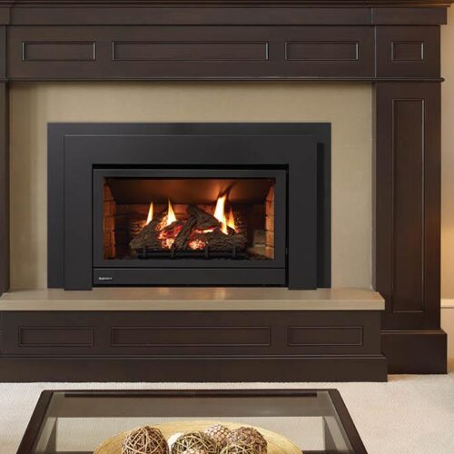 Regency U31 Gas Insert - The Heating Lodge